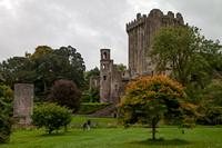 County Wicklow, Glendalough, Kilkenny Castle, Waterford Crystal, Blarney Castle to Killarney